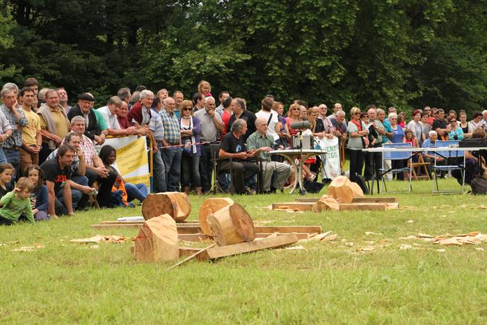 Alatzne Etxaburua astondoa apustua 2015 41 1433775349525