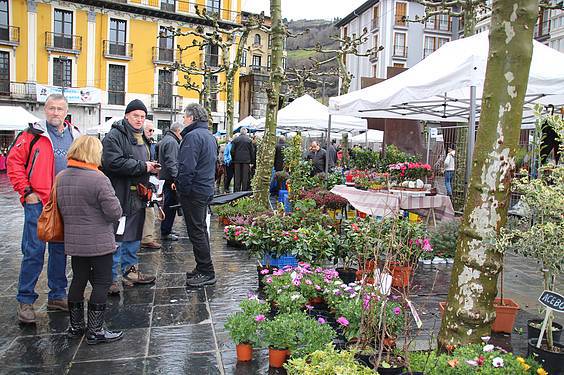 Landare azoka Tolosa 14 1424522276588