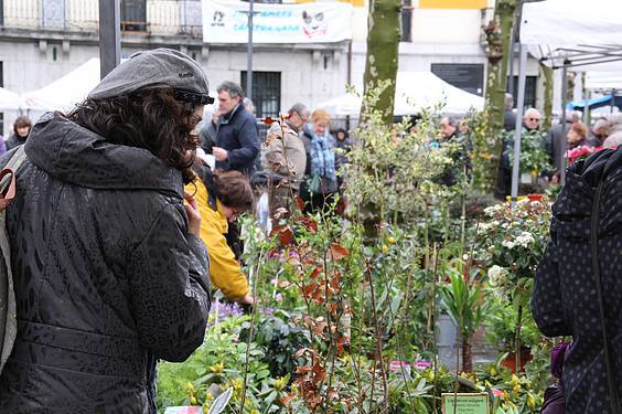 Landare azoka Tolosa 15 1424522277063