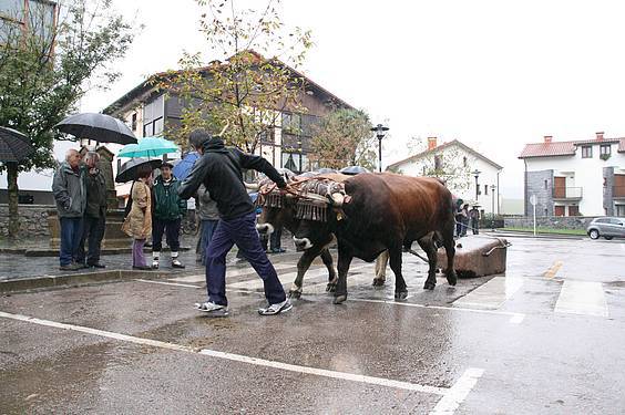 Amasa San Martin 6 1384185830960