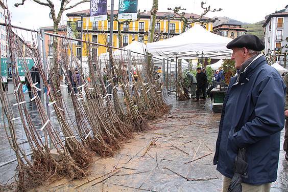 Landare azoka Tolosa 16 1424522277525