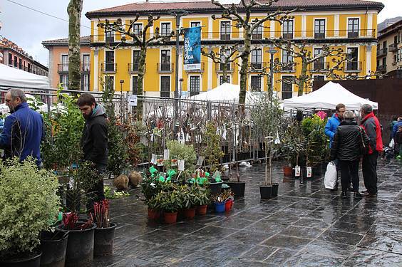 Landare azoka Tolosa 17 1424522277998