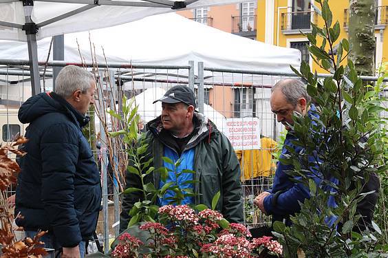 Landare azoka Tolosa 18 1424522278469