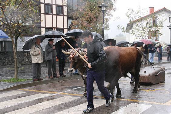 Amasa San Martin 7 1384185831406