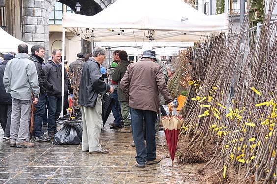 Landare azoka Tolosa 20 1424522279406