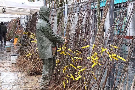 Landare azoka Tolosa 22 1424522280342