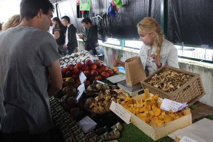 Azoka berezia Villabona 2015 53 1442062871891