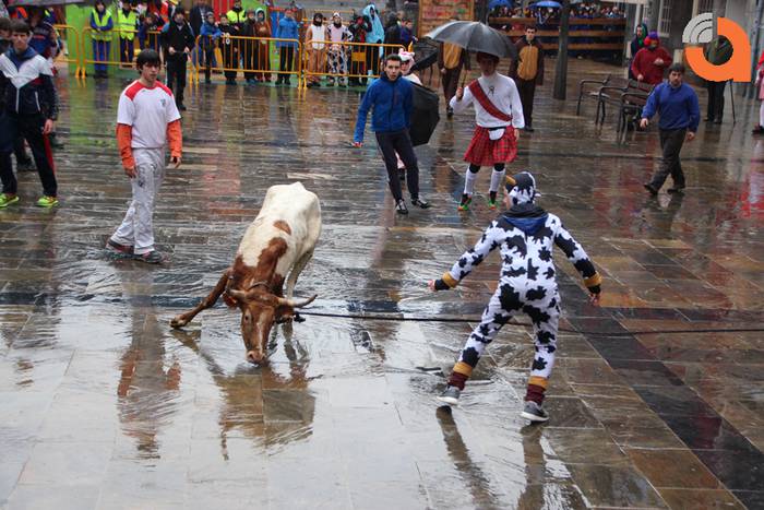 Sokamuturra 2015 14 1424102327510