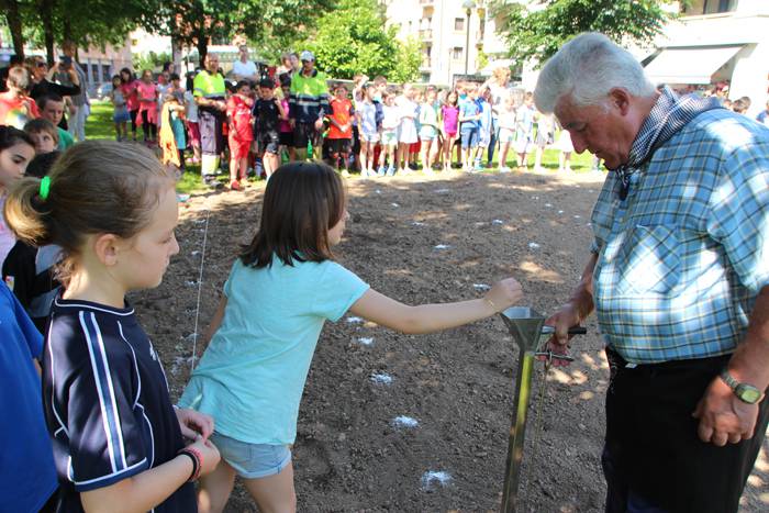 babarruna landaketa 2015 10 1433418131839