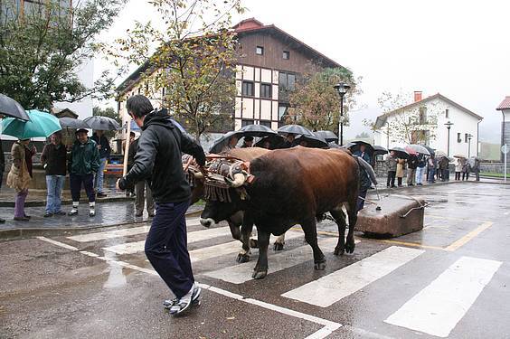 Amasa San Martin 8 1384185831853