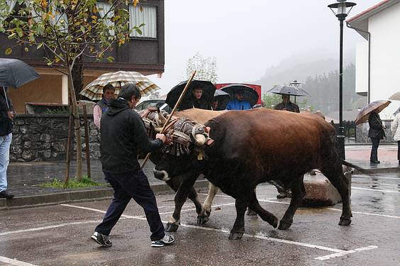 Amasa San Martin 9 1384185832300