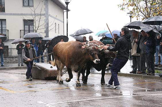 Amasa San Martin 10 1384185832736