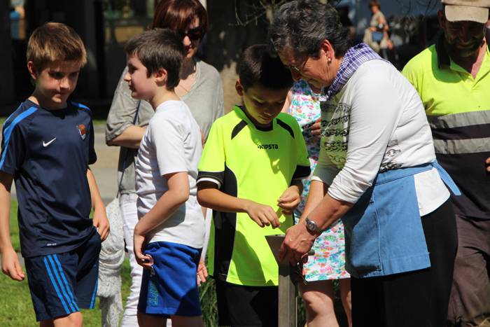 babarruna landaketa 2015 13 1433418134194