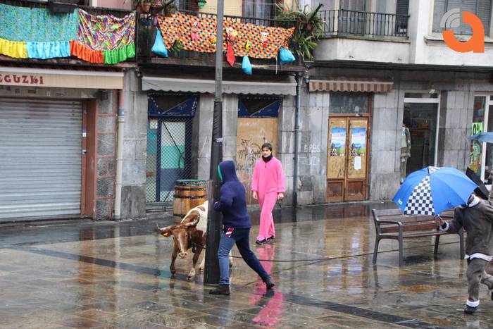 Sokamuturra 2015 15 1424102329044