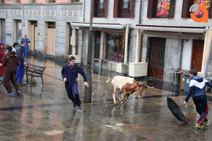 Sokamuturra 2015 16 1424102330236