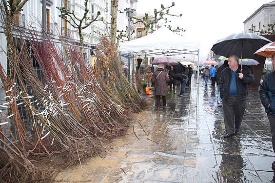 Landare azoka Tolosa 31 1424522285023