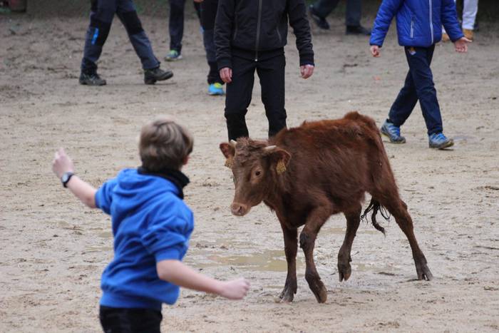 xexen festa piñata 2015 1 5 1424694680780