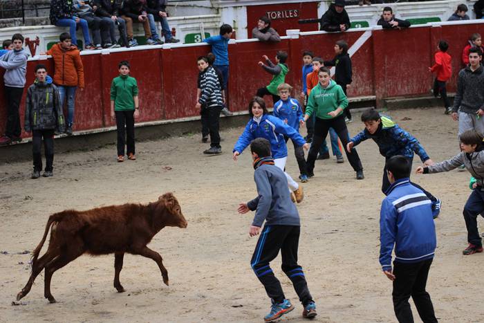 xexen festa piñata 2015 1 8 1424694684256