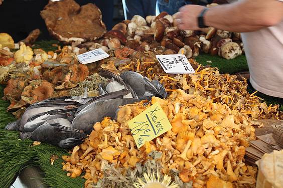 Mikologika azoka 1 1413647963044