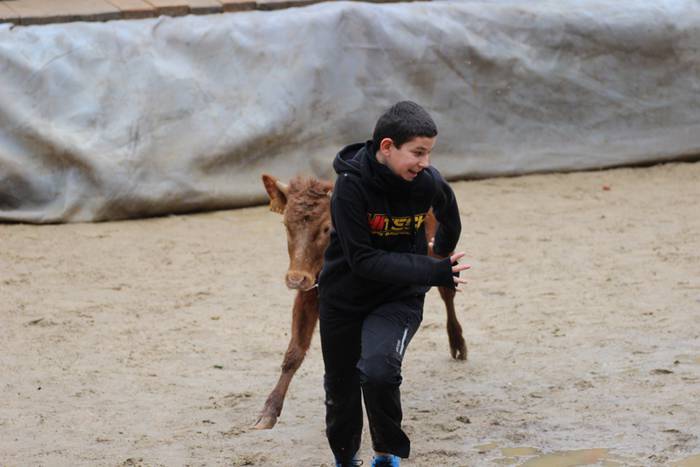 xexen festa piñata 2015 1 10 1424694686672