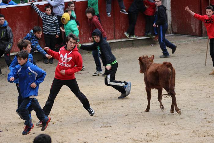 xexen festa piñata 2015 1 11 1424694687789