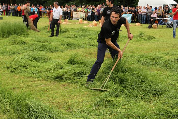 Alatzne Etxaburua astondoa apustua 2015 56 1433775373622