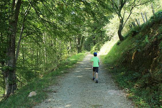 Alkizatik Herniora 2 1411401791910