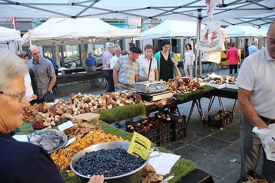 Mikologika azoka 8 1413647967432