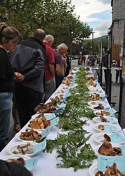 Jardunaldi Mikologikoak 3 1382195232578