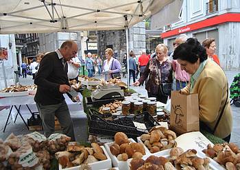 Jardunaldi Mikologikoak 5 1382195233164