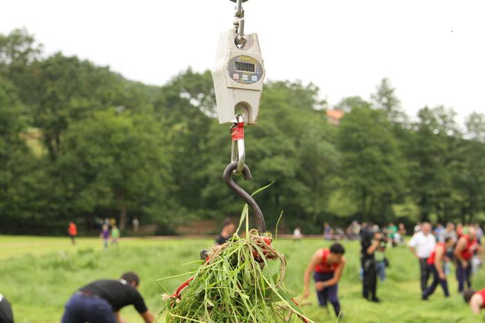 Alatzne Etxaburua astondoa apustua 2015 59 1433775378254