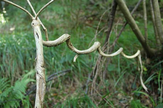 Alkizatik Herniora 4 1411401793151