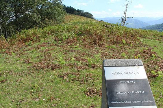 Alkizatik Herniora 5 1411401793799