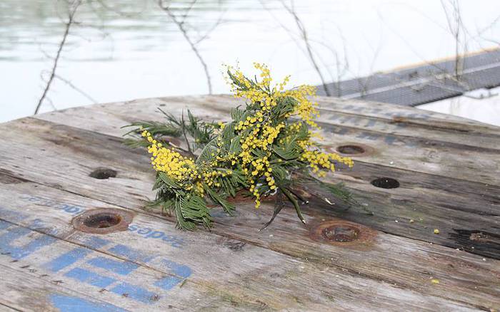 Lapikoa bete sormen, Zerkausipean 6 1426963331288