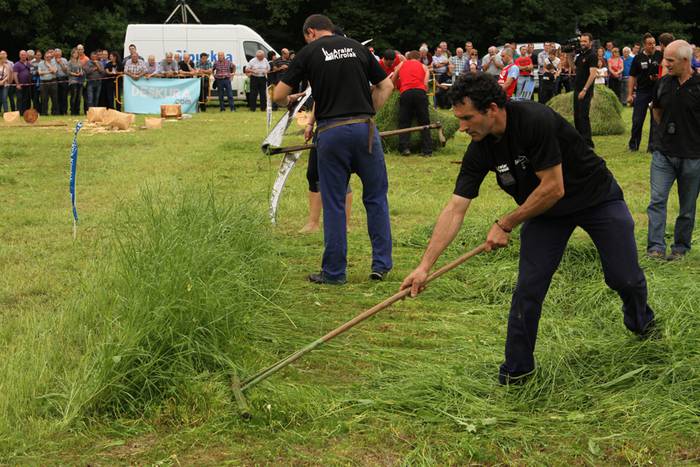 Alatzne Etxaburua astondoa apustua 2015 65 1433775388247