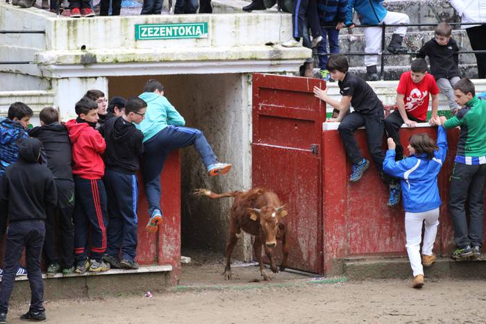 xexen festa piñata 2015 1 22 1424694701977