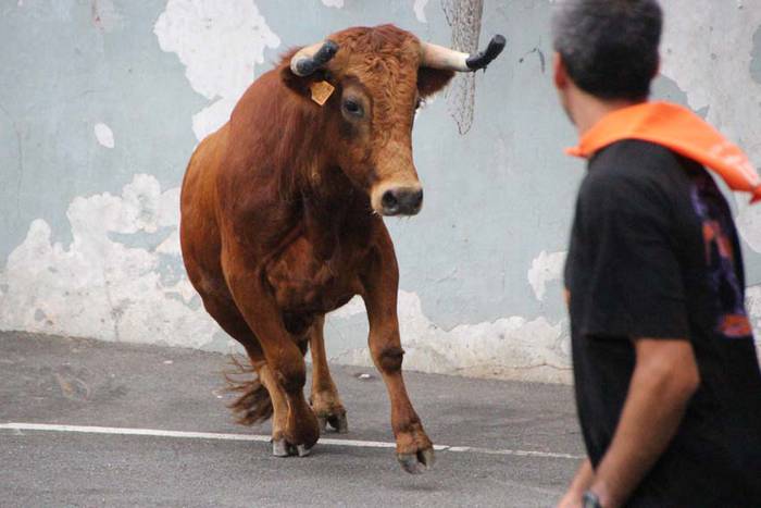 Sokamuturra Santio Jaietan 8 1438020164630