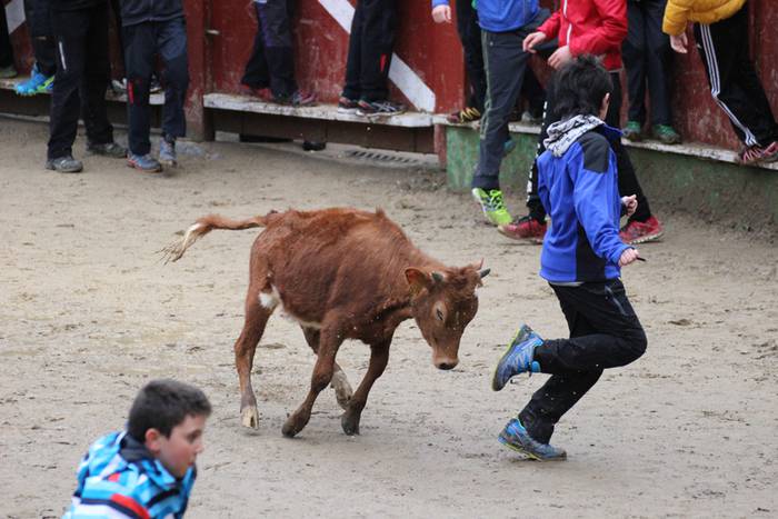 xexen festa piñata 2015 1 23 1424694703710