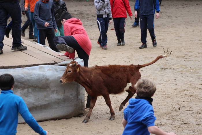 xexen festa piñata 2015 1 24 1424694704903