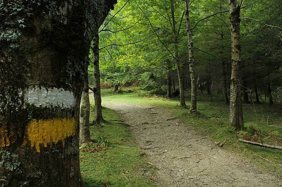 Alkizatik Herniora 7 1411401795154