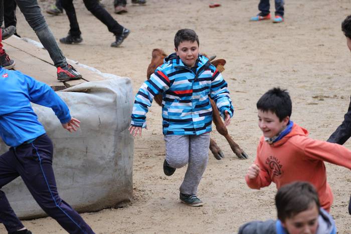 xexen festa piñata 2015 1 25 1424694706158