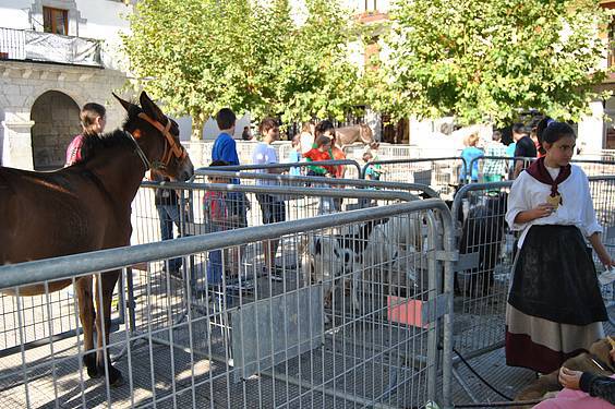 amezketako azoka 1 1413213049534