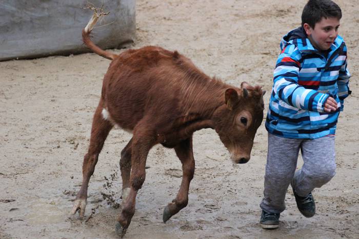 xexen festa piñata 2015 1 26 1424694707430