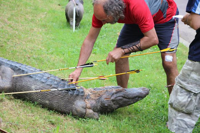 Zumardiaundia arkularien bilgune 9 1435483040720