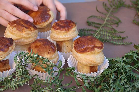 Mikologika azoka 9 1413647967895