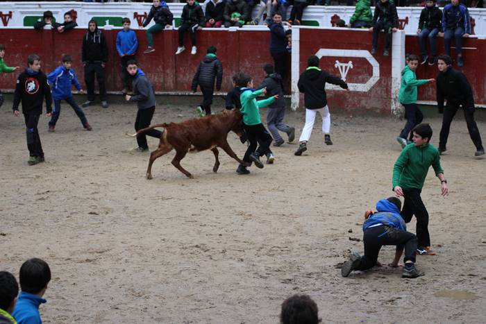 xexen festa piñata 2015 1 27 1424694708647