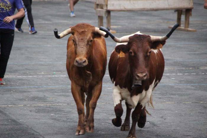 Sokamuturra Santio Jaietan 12 1438020169006