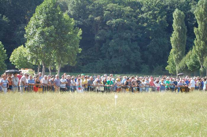 europako sega txapelketa 2015 37 1441034727624