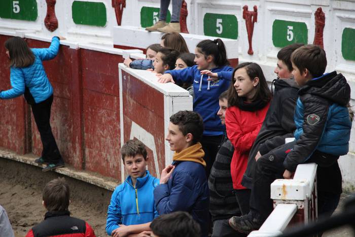 xexen festa piñata 2015 1 29 1424694711271