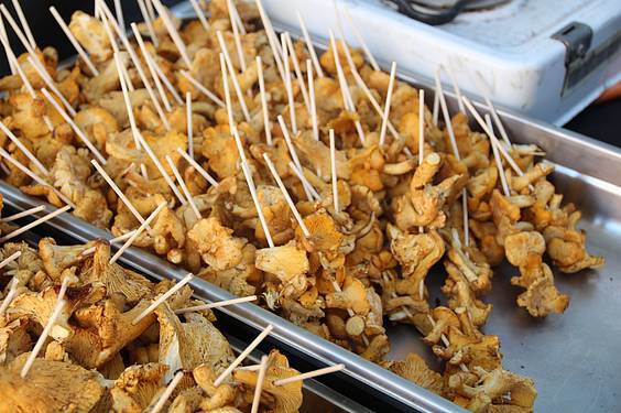 Mikologika azoka 15 1413647970694